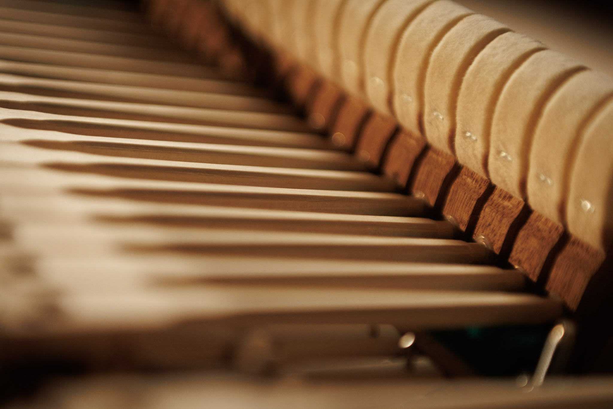 Photo: Valentin Malanetski