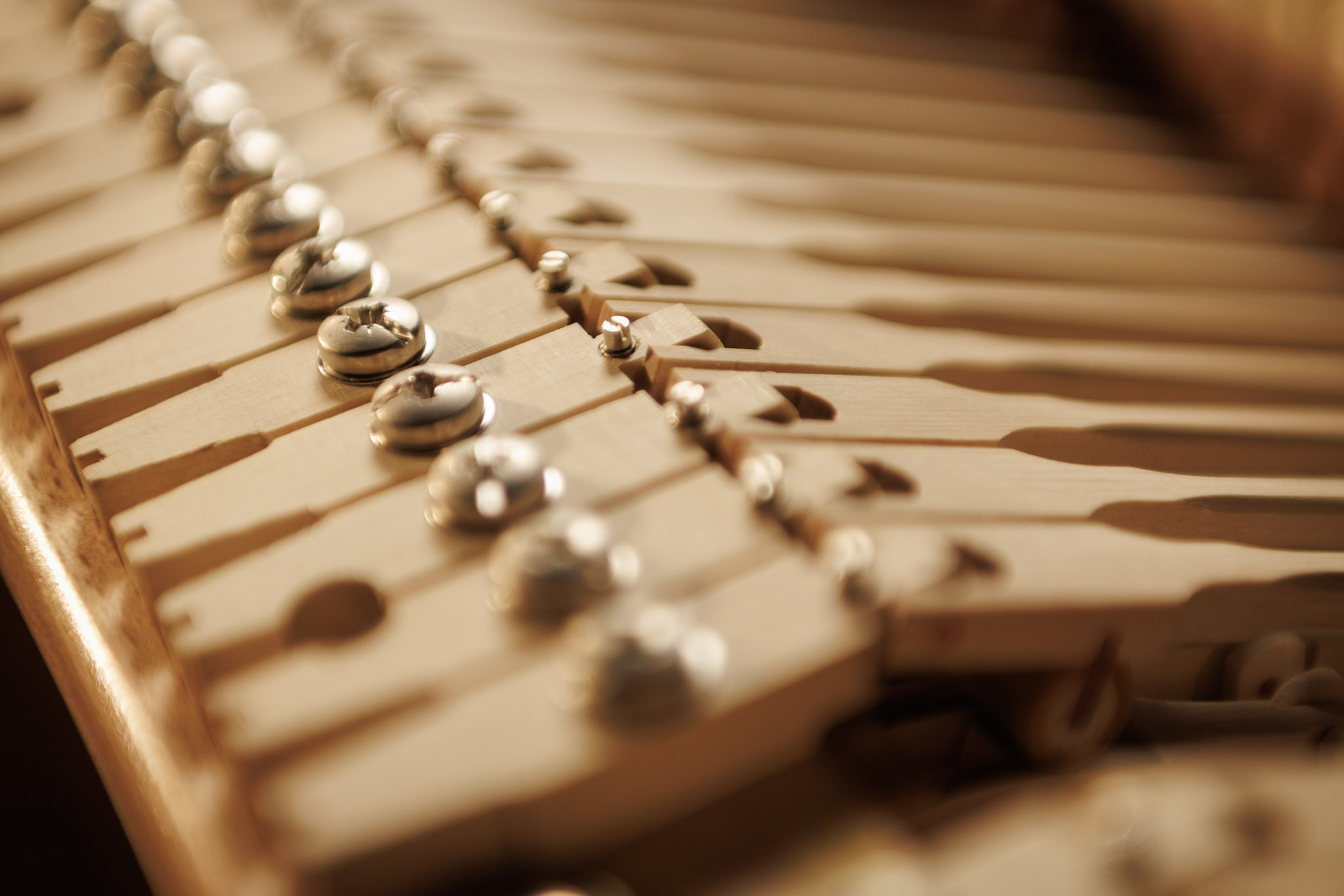 Photo: Valentin Malanetski