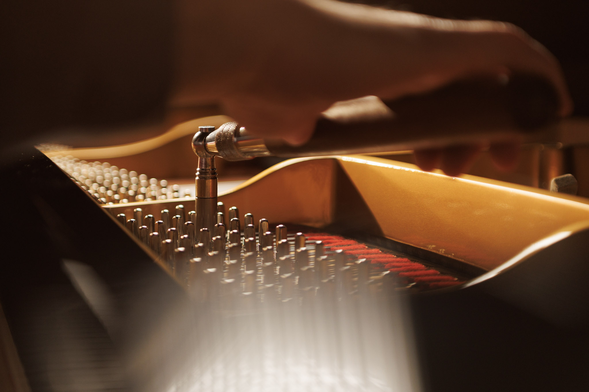 Photo: Valentin Malanetski